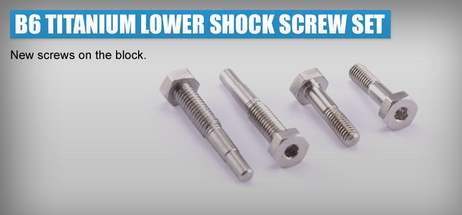 RDRP B6 Titanium Lower Shock Screw Set (5)