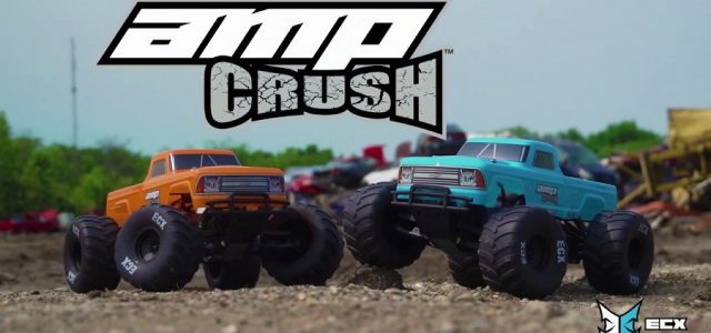 ECX 1/10 Amp Crush 2WD Monster Truck Brushed RTR [VIDEO]