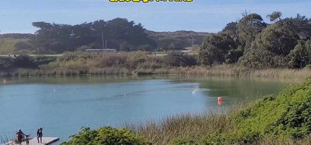 Oxidean Marine Mini-Dom In California Dreaming [VIDEO]