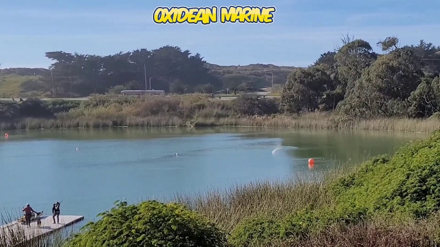Oxidean Marine Mini-Dom In California Dreaming