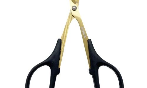 Assault RC Ti-Ni Coated Body Curved Scissors