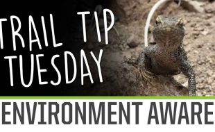 Trail Tip Tuesday: Be Aware Of The Environment [VIDEO]