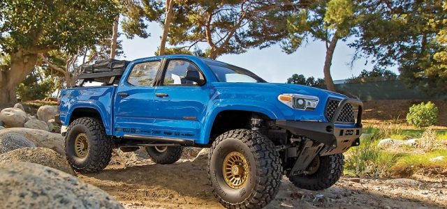 Enduro Knightrunner RTR With Blue Body