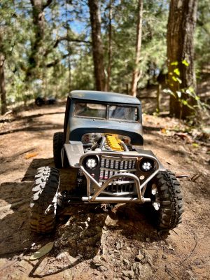 RC Car Action - RC Cars & Trucks | One Wild Willys