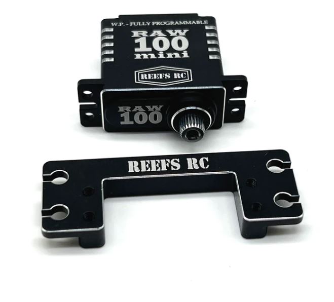 RC Car Action - RC Cars & Trucks | Reef’s RC RAW100 Servo Mount