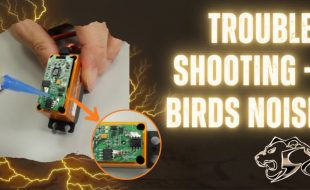 How To: Troubleshooting “Bird Noise” In Your Servo [VIDEO]